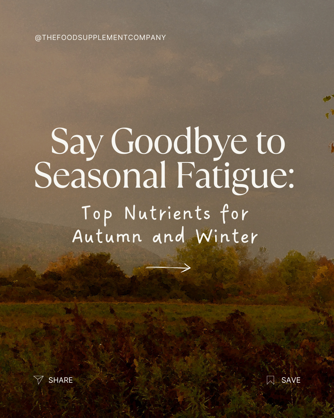 Discover the top supplements for energy, focus, and wellbeing throughout autumn and winter